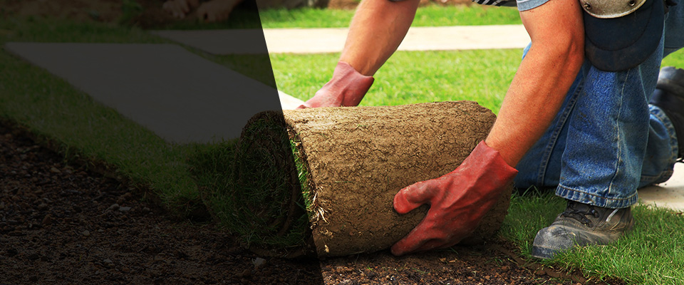 Ardmore Landscapers